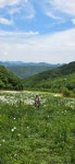 하이원 둘레길 3,4코스 - 2026년 사진 - 예원 산악회 하이원 둘레길 3,4코스