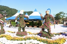 알아두면 좋은 신 동의보감 - 임진호 - 특급,1급,2급 3급 소방안전관리자 / 건물시설관리 알아두면 좋은 신 동의보감