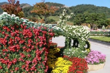 좋은 인연 - 임진호 - 특급,1급,2급 3급 소방안전관리자 / 건물시설관리 좋은 인연