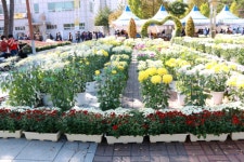 기분 좋은 사람 - 임진호 - 특급,1급,2급,3급 소방안전관리자 기분 좋은 사람