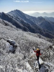 ** 제192차 남대봉_치악산 (1181m, 강원 원주) ** (南臺峰_雉嶽山) - 산행안내 - 안산 즐거운산악회 안산 즐거운산악회