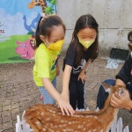 사랑하는 바다반 천사들의 10월 애니멀 스쿨-♡ 꽃사슴과 햄스터... 동서변유치원 사랑하는 바다반 천사들의 10월 애니멀 스쿨-♡ 꽃사슴과 햄스터