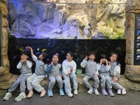 서천 국립 생태원 - 꿈꾸는반(7세) - 서산아이꿈터 서천 국립 생태원