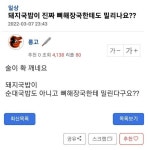 돼지국밥 vs 뼈해장국과의 격차 - ★ 유머 & 이슈 - 솔로문닷컴, 잃어버린 사랑을 위하여.. 돼지국밥 vs 뼈해장국과의 격차