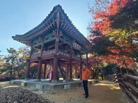 도통한고을 부여백제역사문화(부소산성, 낙화암, 고란사, 궁남지, 정림사지5층 석탑) 탐방(2025.11.15-11.16)....＜1＞ - 일반사진 - nalani... 
