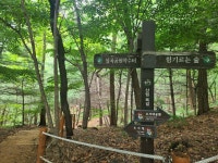 성주산-소래산 산행 & 소래습지생태공원-소래포구 탐방 story(2025.6.29) - 산행사진(greennfield) - nalani 나라니 성주산-소래산 산행... 