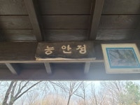 안산 & 안산자락길~백련산~홍제천~ 경의선숲길(2022.3.26) - 산행사진(greennfield) - nalani 나라니 안산 & 안산자락길~백련산... 