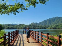 울렁다리) & 횡성호수길 5구간(A코스) 트레킹 story (2025.7.12)...(3)... 울렁다리) & 횡성호수길 5구간(A코스) 트레킹 story (2025.7.12)...(3)