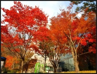 양주 불곡산(대교APT-임꺽정봉-상투봉-상봉-양주역) 산행(2020.10.31)....(2) - 산행사진(greennfield) - nalani 나라니 양주 불곡산... 
