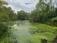 경의선숲길-홍제천-난지생태습지원 -가양대교-안양천-양화대교... 경의선숲길-홍제천-난지생태습지원 -가양대교-안양천-양화대교... 