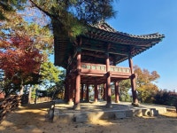 도통한고을 부여백제역사문화(부소산성, 낙화암, 고란사, 궁남지, 정림사지5층 석탑) 탐방(2025.11.15-11.16)....＜1＞ - 일반사진 - nalani... 