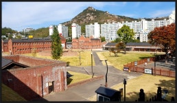 안산무장애자락길 트레킹(2020.10.25) - 산행사진(greennfield) - nalani 나라니 안산무장애자락길 트레킹(2020.10.25)