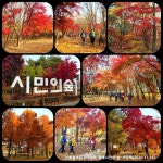 서울둘레길 4-2코스 양재시민의 숲-우면산-사당역 구간 트레킹(2020.11.14)....[ I ] - 산행사진(greennfield) - nalani 나라니 서울둘레길... 