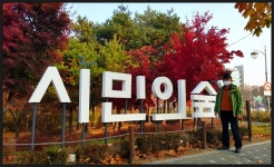 서울둘레길 4-2코스 양재시민의 숲-우면산-사당역 구간 트레킹(2020.11.14)....[ I ] - 산행사진(greennfield) - nalani 나라니 서울둘레길... 