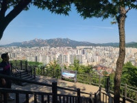 신록 짙은 걷기 좋은 숲길 서울둘레길 봉산-앵봉산 구간(월드컵경기장 -구파발역을 걷다(2026.5.31) - 산행사진(greennfield) - nalani 나라니... 