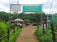 성주산-소래산 산행 & 소래습지생태공원-소래포구 탐방 story(2025.6.29) - 산행사진(greennfield) - nalani 나라니 성주산-소래산 산행... 