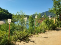 녹산20산악회 소금산그랜드밸리 (출렁다리, 울렁다리) & 횡성호수길 5구간(A코스) 트레킹 story (2025.7.12)...(3) - 산행사진(greennfield)... 