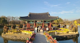 도통한고을 부여백제역사문화(부소산성, 낙화암, 고란사, 궁남지, 정림사지5층 석탑) 탐방(2025.11.15-11.16)....＜3＞ - 일반사진 - nalani... 