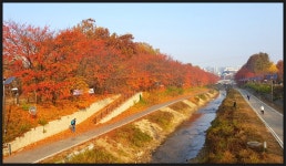 서울둘레길 4-2코스 양재시민의 숲-우면산-사당역 구간 트레킹(2020.11.14)....[ I ] - 산행사진(greennfield) - nalani 나라니 서울둘레길... 