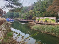 드리운 명성산 풍광을 찾아서(2025.10.26)... - 풍경사진 - nalani 나라니... 어우러진 단풍이 짙게 드리운 명성산 풍광을 찾아서(2025.10.26)...