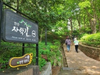 안산자락길(안산순환형무장애자락길) 트레킹(마포-독립문-안산자락길-마포) story(2025.5.17) - 산행사진(greennfield) - nalani 나라니... 