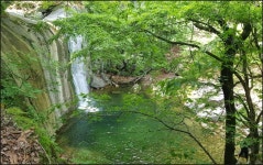 춘천 오봉산-경운산 산행 & 청평사-소양강댐 탐방(2021.6.12)....... 오봉산-경운산 산행 & 청평사-소양강댐 탐방(2021.6.12)....[ III ]