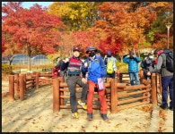 서울둘레길 4-2코스 양재시민의 숲-우면산-사당역 구간 트레킹(2020.11.14)....[ I ] - 산행사진(greennfield) - nalani 나라니 서울둘레길... 