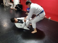 - 트리플 앨범 :) - 트리플 GYM(주짓수, 킥복싱, MMA) 그레이시바하 코리아 (은평구 주짓수) 응암동 트리플짐_7월 승급스파링 명장면 2탄!!!