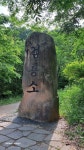 2025.6.7 백두대간 두문동재 금대봉 대덕산(야생화) 태백 검룡소(한강... 7 백두대간 두문동재 금대봉 대덕산(야생화) 태백 검룡소(한강... 