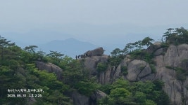 2025.5.31 속리산 상학봉 묘봉 - 카페 앨범 - 감우회 카페 2025.5.31 속리산 상학봉 묘봉