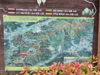 준비 684차 2024년 06/06(수) 경남 양산 산지웰빙누리길 보리수.산딸기 따기 체험-테마 - 산행준비계획 - 한국힐링산악회 준비 684차 2024년 06... 