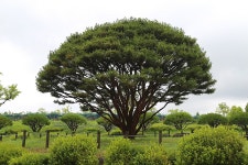 경기 부천 둘레길 3코스 - 국내여행관광산행 - 행복 삶터 경기 부천 둘레길 3코스