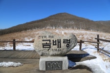 강원 천상의 화원 곰배령 - 국내여행관광산행 - 행복 삶터 강원 천상의 화원 곰배령