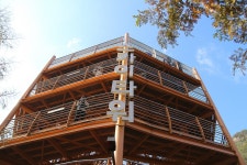 대전 장태산 자연휴양림 - 국내여행관광산행 - 행복 삶터 대전 장태산 자연휴양림