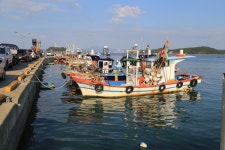 충남 보령 원산도 초전항 - 국내여행관광산행 - 행복 삶터 충남 보령 원산도 초전항