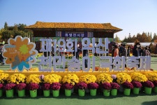 전북 익산 천만송이 국화축제 - 국내여행관광산행 - 행복 삶터 전북 익산 천만송이 국화축제