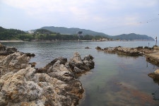 강원 삼척 장호항 - 국내여행관광산행 - 행복 삶터 강원 삼척 장호항