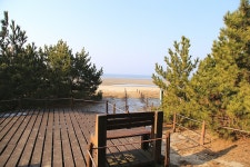 충남 태안 솔향기 5코스 - 국내여행관광산행 - 행복 삶터 충남 태안 솔향기 5코스