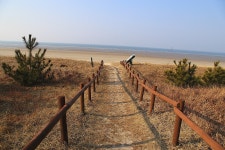충남 태안 솔향기 5코스 - 국내여행관광산행 - 행복 삶터 충남 태안 솔향기 5코스
