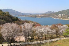 충북 제천 청풍문화재단지 - 국내여행관광산행 - 행복 삶터 충북 제천 청풍문화재단지