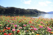 경기 가평 남도 꽃 정원 - 국내여행관광산행 - 행복 삶터 경기 가평 남도 꽃 정원