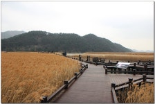 전남 순천 남도삼백리길 - 국내여행관광산행 - 행복 삶터 전남 순천 남도삼백리길