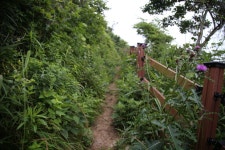 충남 보령 외연도 봉화산둘레길 - 국내여행관광산행 - 행복 삶터 충남 보령 외연도 봉화산둘레길