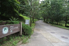 세종특별자치시 산림박물관 - 국내여행관광산행 - 행복 삶터 세종특별자치시 산림박물관