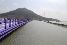전남 신안 퍼플섬 - 국내여행관광산행 - 행복 삶터 전남 신안 퍼플섬