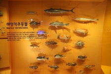 인천 강화 자연사박물관 - 국내여행관광산행 - 행복 삶터 인천 강화 자연사박물관