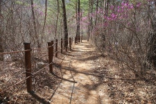 경북 청도 운문 신화랑 에코트레일 - 국내여행관광산행 - 행복 삶터 ﻿경북 청도 운문 신화랑 에코트레일