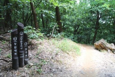 경기 고양 숲길 - 국내여행관광산행 - 행복 삶터 경기 고양 숲길