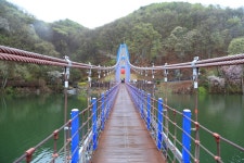 충남 청양 천장호 출렁다리 - 국내여행관광산행 - 행복 삶터 충남 청양 천장호 출렁다리