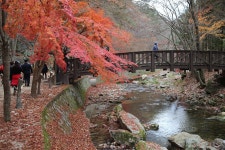 전북 순창 강천산군림공원 - 국내여행관광산행 - 행복 삶터 전북 순창 강천산군림공원